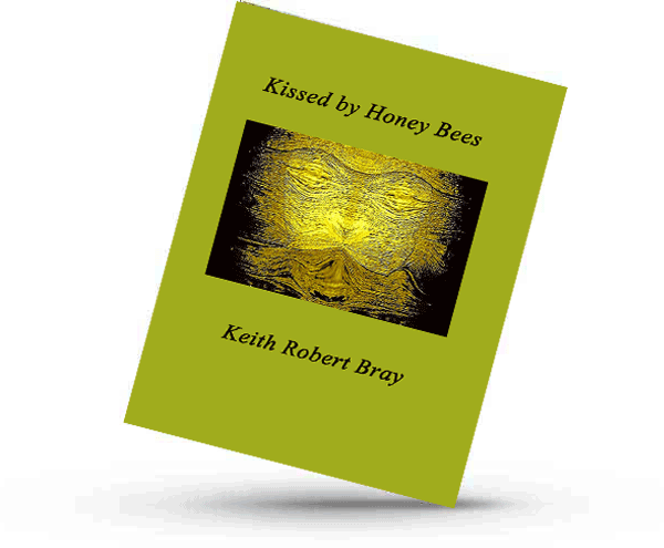 Kissed by Honey Bees poetry book